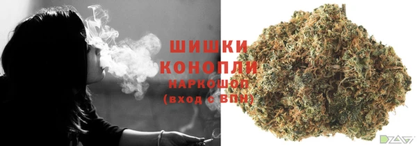 гидропоника Ельня
