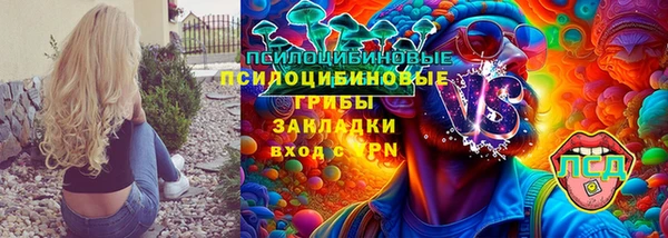spice Новосибирск