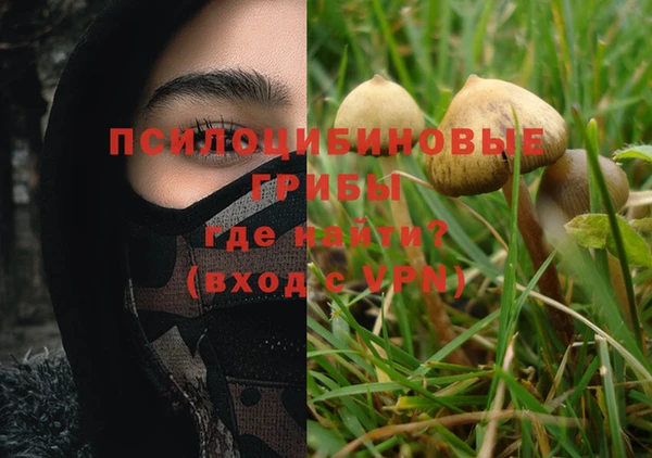 гидропоника Ельня