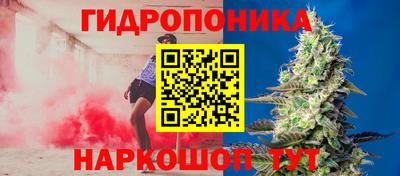 стафф Коммунар