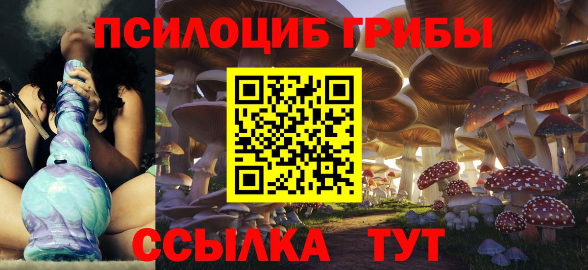 наркотики  Вход с VPN  Похвистнево  Псилоцибиновые грибы Psilocybe 
